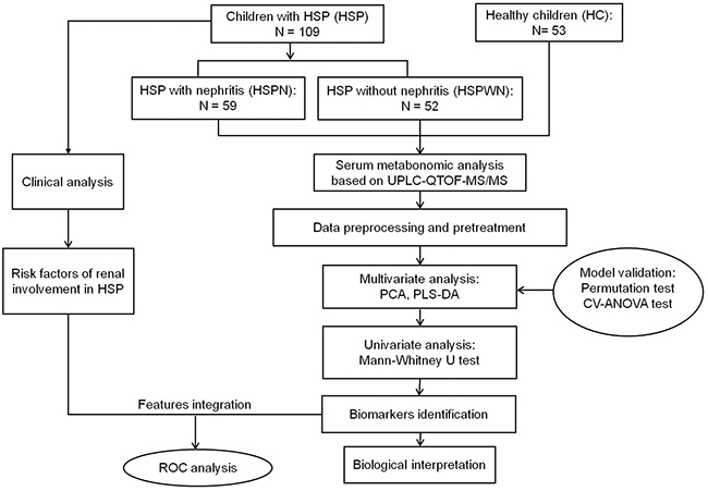An overview of workflow utilized in serum metabonomics analysis of HSP.