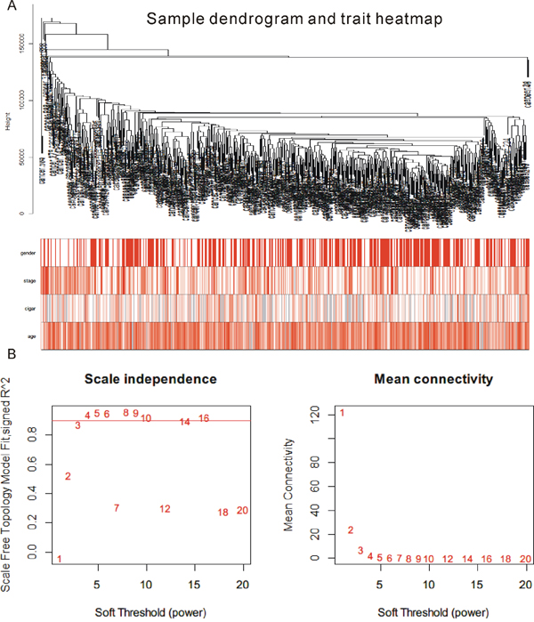 Result of WGCNA analysis.