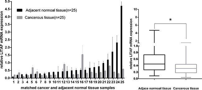 LITAF gene expression in 25 paired pancreatic tumor tissues.