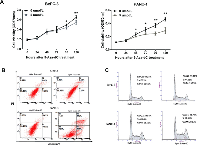 LITAF demethylation inhibits cell growth, and induces apoptosis and cell cycle arrest in pancreatic carcinoma cells.