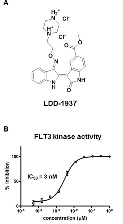 Structure of LDD1937 and its inhibitory effect on the FLT3 kinase activity.