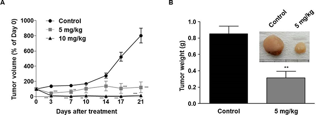 In vivo antitumor efficacy of LDD1937.