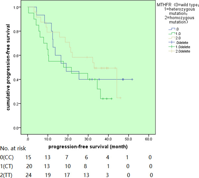 The progression-free survival for different MTHFR genotypes.