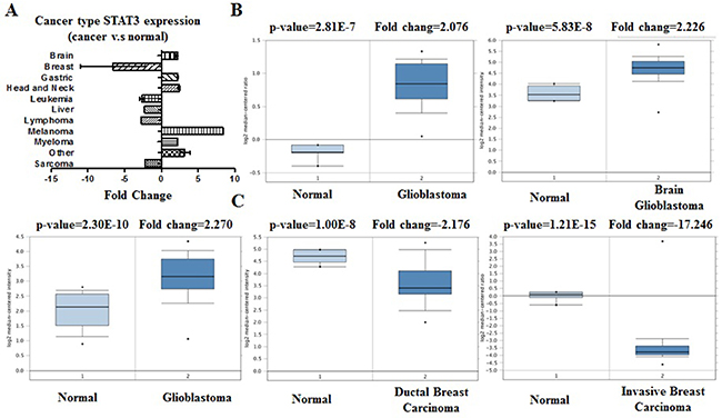 STAT3 analysis in different cancer types (Oncomine database).