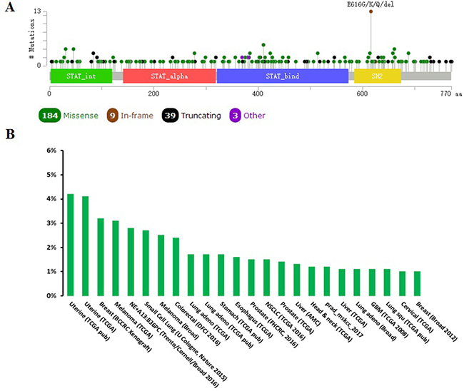 Mutation diagram of STAT3 in different cancer types across protein domains.