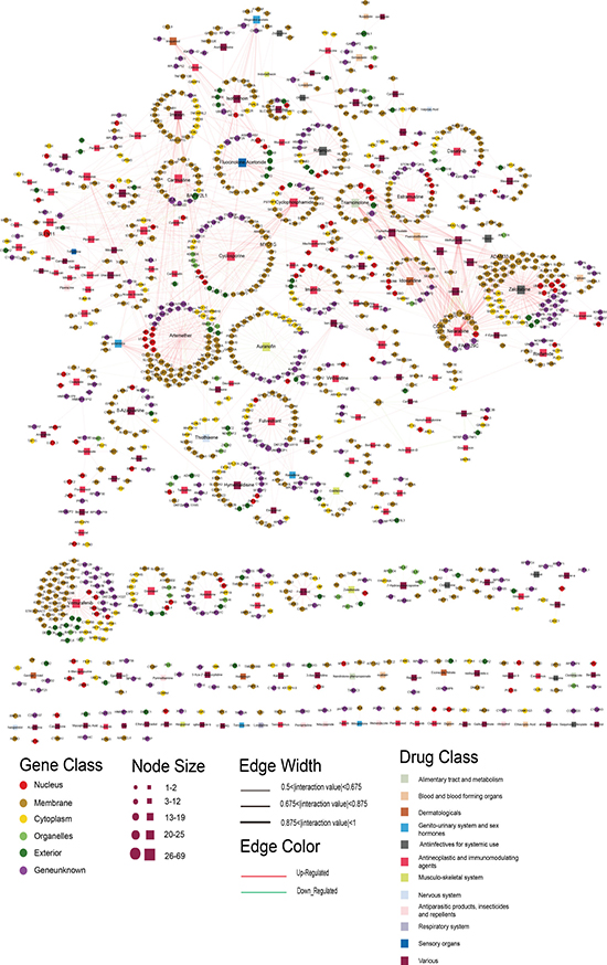 The DSGN network.