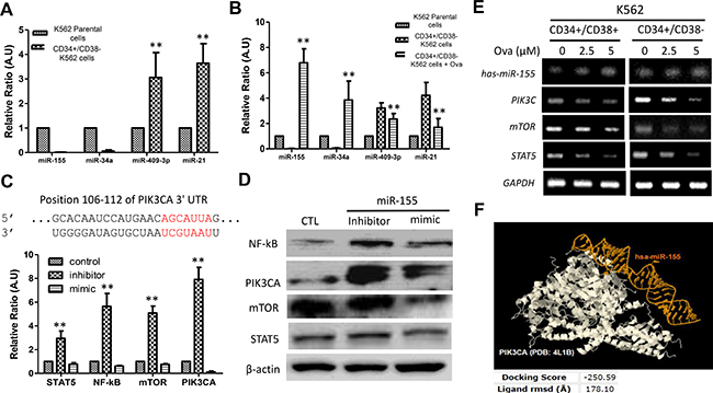 Diterpenoid ovatodiolide suppress CD34+/CD38&#x2212; hCSCs via epigenetic modulation of the PI3K/mTOR signaling axis.