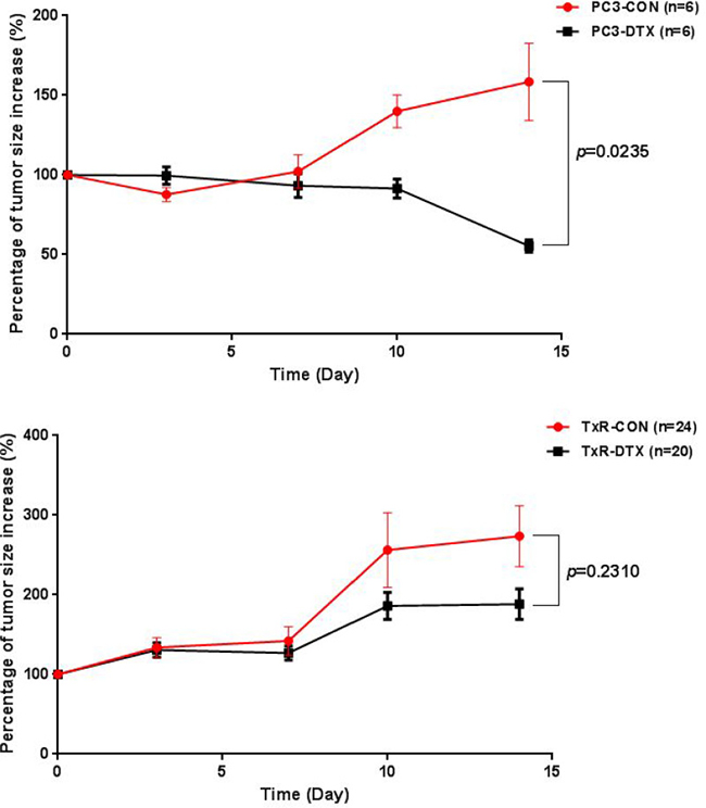 Plot of percentage of tumor size increase (%) versus time in mice with PC3 tumor xenografts (upper) and TxR tumor xenografts (lower).