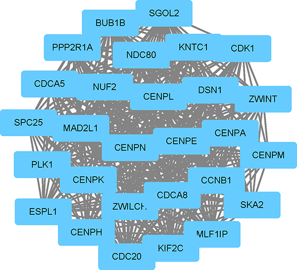 The significant module identified from the protein-protein interaction network.