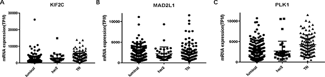 L KIF2C, MAD2L and PLK1 expressions among molecular subtypes of breast cancer.