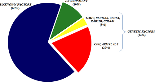 The AMD susceptibility within the Italian population.