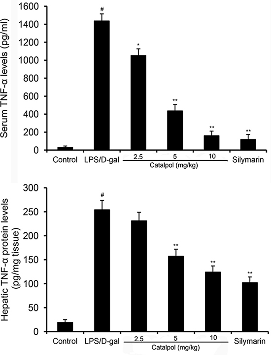 Effects of catalpol on serum and hepatic TNF-&#x03B1; levels in LPS/D-gal induced mice.