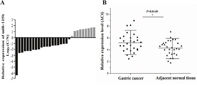 The expression of miR-125b was measured in 29 cases of gastric cancer and adjacent normal tissues.