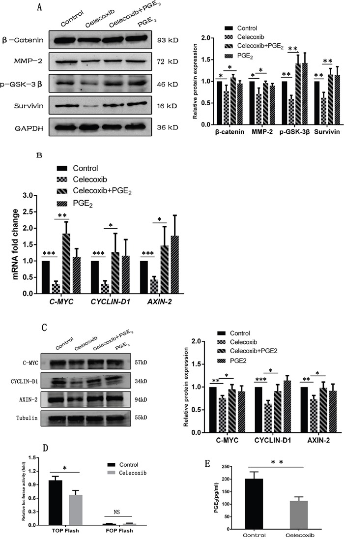 Celecoxib down-regulates the Wnt pathway activity by inhibiting the synthesis of PGE2 and reducing the phosphorylation of GSK-3&#x03B2;.