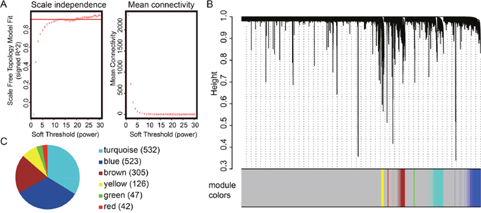 Gene modules detected using the weighted correlation network analysis (WGCNA).