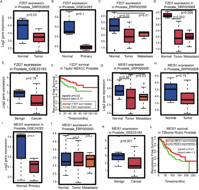 Identification of genes important for survival time in Gleason score-related modules.
