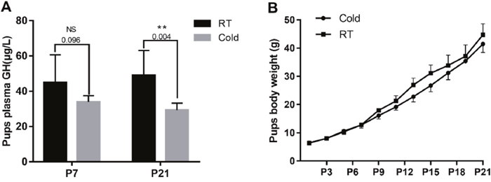 Prenatal cold stress decreased plasma GH levels and the body weight of offspring.