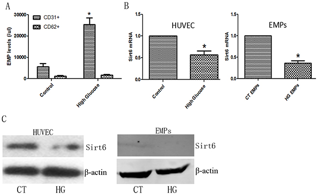 EMP levels and Sirt6 expression in high glucose-cultured HUVECs.
