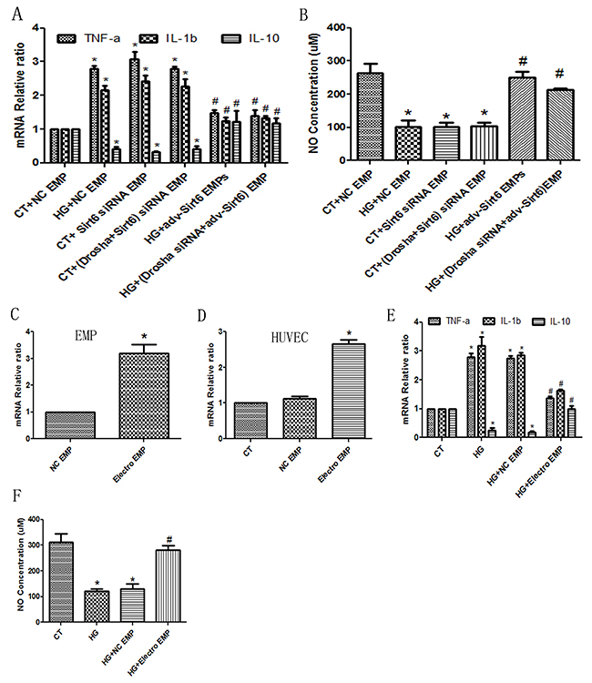 Sirt6 mRNA incorporated in EMPs is a key factor for HUVEC function.