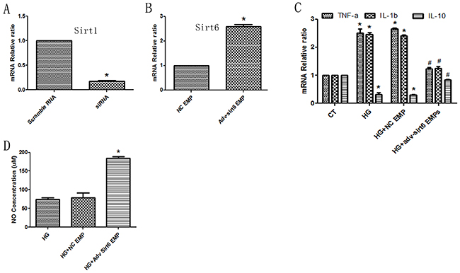 Sirt6 mRNA-mediated protective effects are independent of Sirt1.