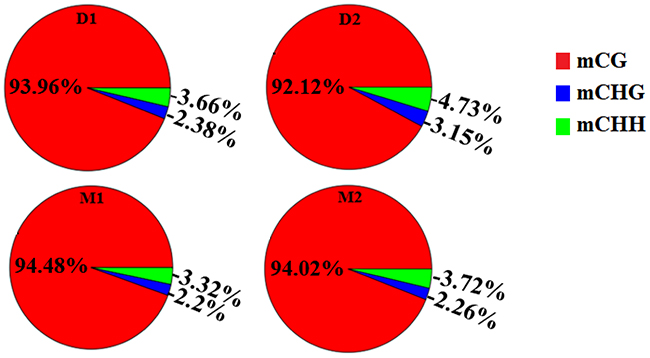Proportion of different methyl-cytosine patterns in analyzed goat genome of lactation period and dry period mammary glands.