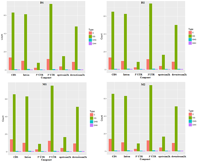 The different kinds of methyl-cytosines distribution in different components of the genome in two periods.