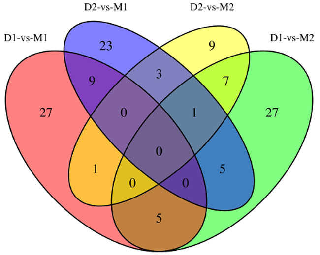 Venn diagram for DMR-related genes of two periods.