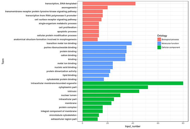 Go annotation of DMR related genes with top ten enrichment numbers covering domains.