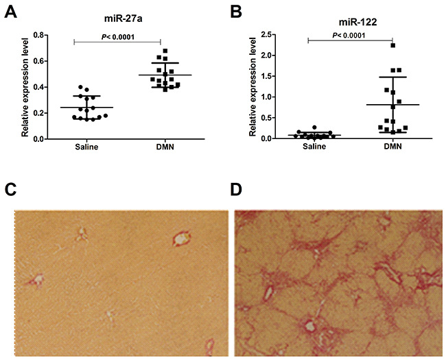 Serum levels of miR-27a and miR-122 in a rat model of liver cirrhosis induced by DMN and saline.