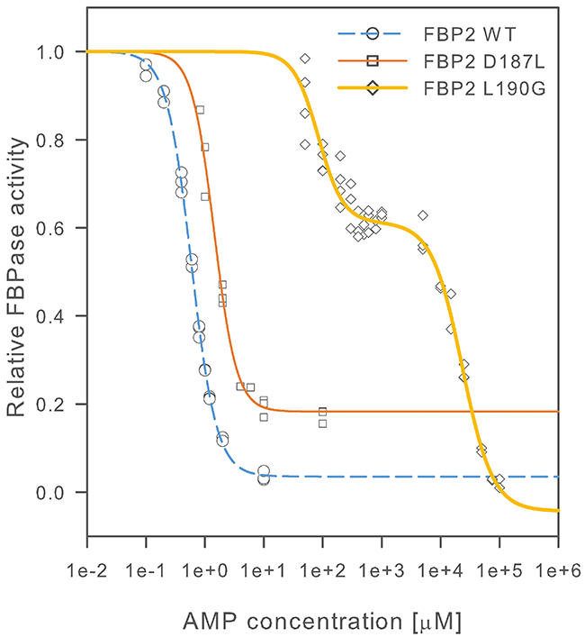 AMP inhibition of wild-type and mutant FBP2.