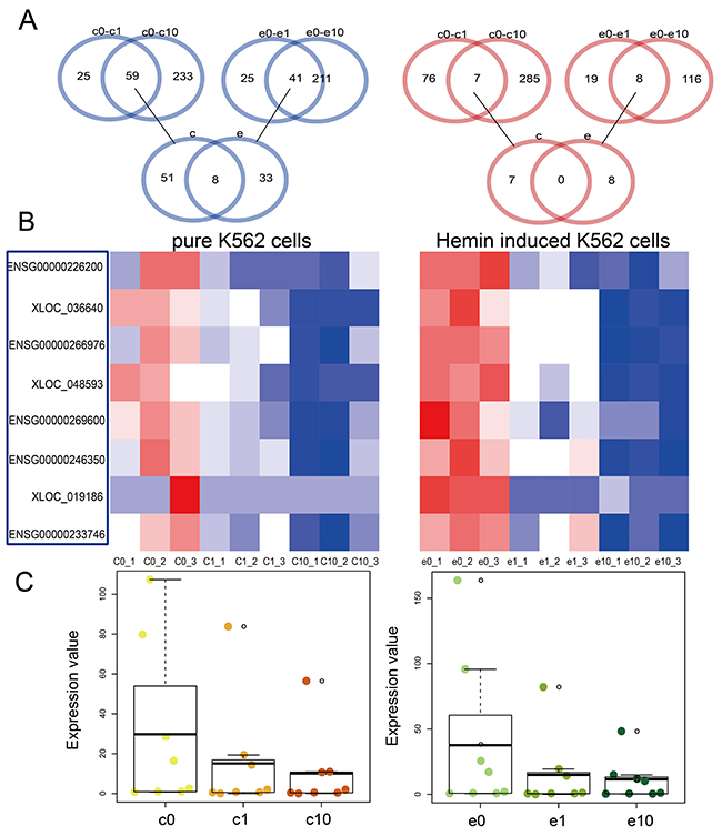 Dysregulated lncRNAs in pure and hemin-induced K562 cells.