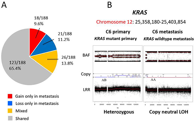 Differences in candidate driver genes between primary and metastasis samples.
