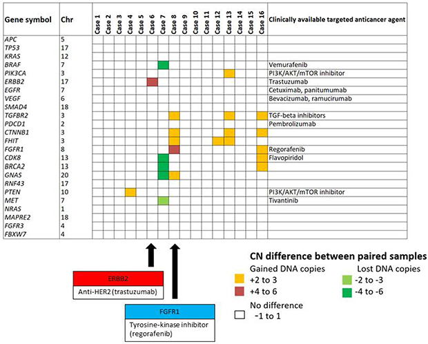 Copy number status private to the metastasis sample affecting clinically actionable targets.