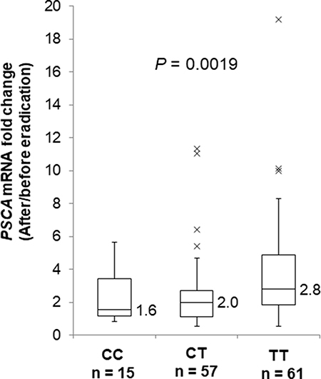 Fold PSCA mRNA induction by H. pylori eradication.