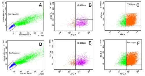 Representative scatter dot-plot images of flow cytometry for CD133 positive total population, side population and CD133 positive side population.