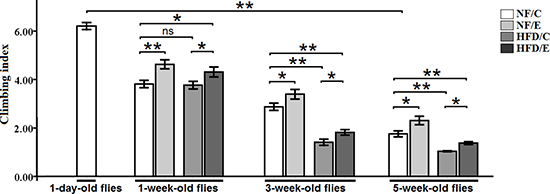 Effects of endurance training and HFD on locomotor impairment in Drosophila.