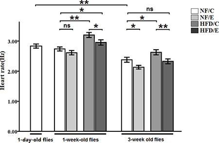 Effects of HFD and endurance training on heart rate at one-day old flies, one-week old flies, and five-week old flies.