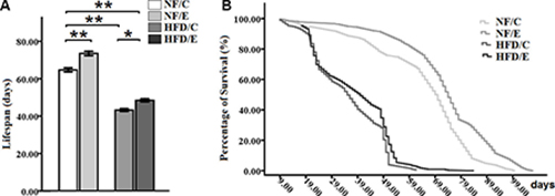 Effects of endurance training and HFD on lifespan in Drosophila.