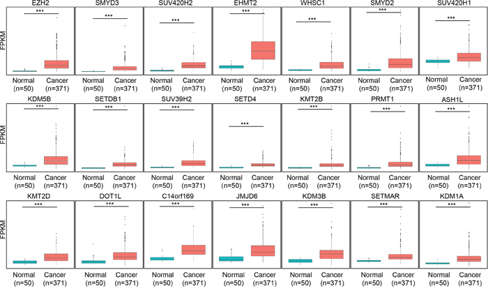 Box plots of the expression of 21 genes were grouped into normal and tumor sets in TCGA liver data set.