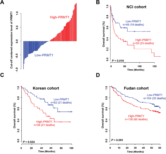 Expression of PRMT1 and prognosis of liver cancer.