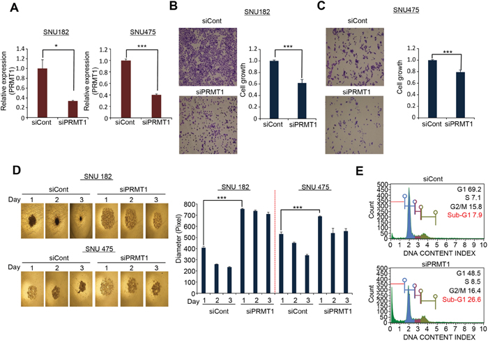 PRMT1 regulated cell growth and spheroid formation in HCC.