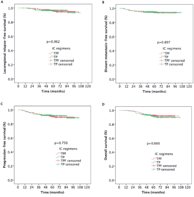 Kaplan-Meier estimates of survival outcomes in TPF and TP arm nasopharyngeal carcinoma patients.