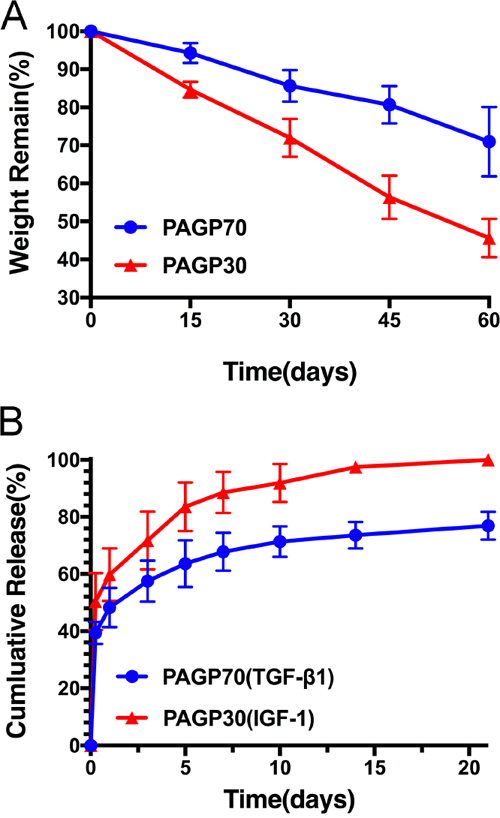 Microspheres degradation and release characteristics.