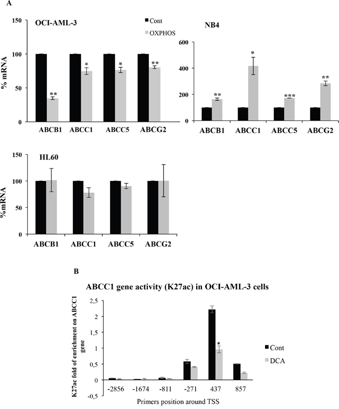 OXPHOS inhibited or stimulated ABC expression in wtp53 or mutp53 cells, respectively.