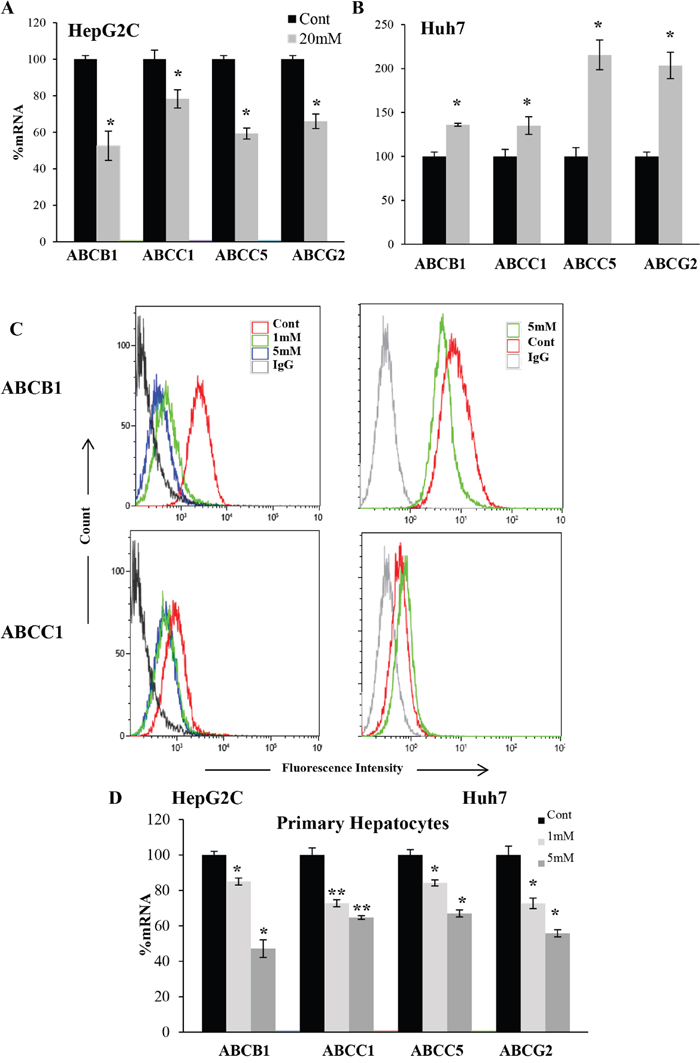 DCA-induced ABC transporters expression depended on p53 status in hepatic cells.