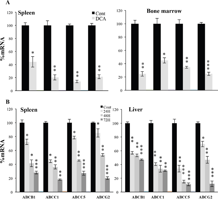 DCA induced ABC transcription in vivo.