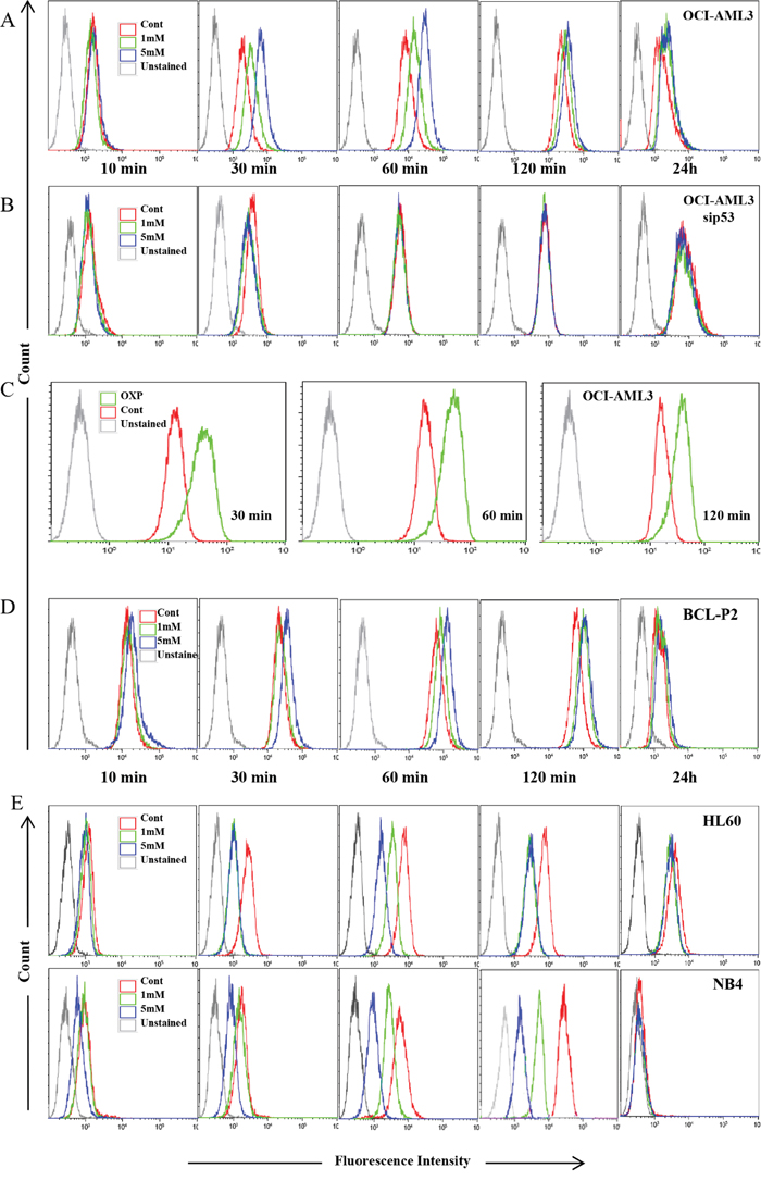 Metabolism-controlled drug outtake depended on p53 status.