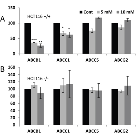 DCA-induced ABC transporters expression required wtp53.