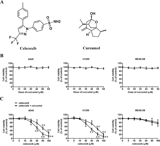 Effect of celecoxib and curcumol on the growth of tumor cells in vitro.