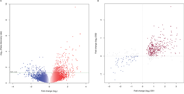 Gene expression profiles define distinct characteristics of pediatric SEPN.